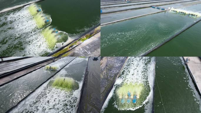 深圳小藻农业科技有限公司航拍4K2