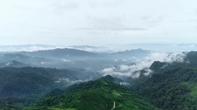 【原创】易武茶山云海航拍