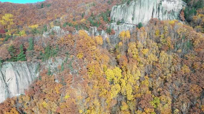 红石峰景区，森林，秋色 航拍
