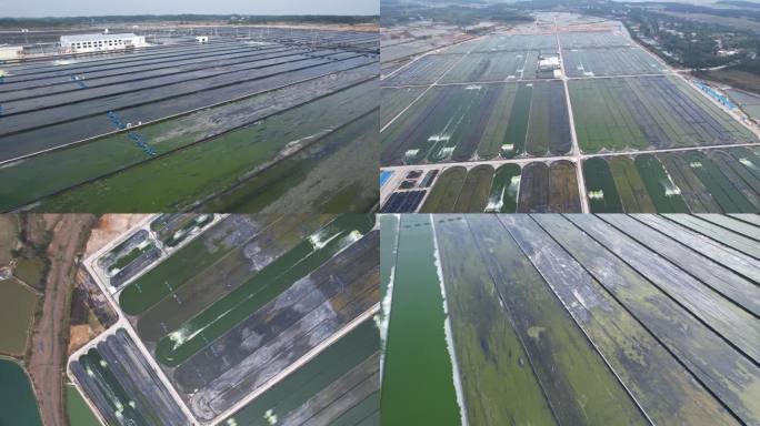 深圳小藻农业科技有限公司航拍4K1