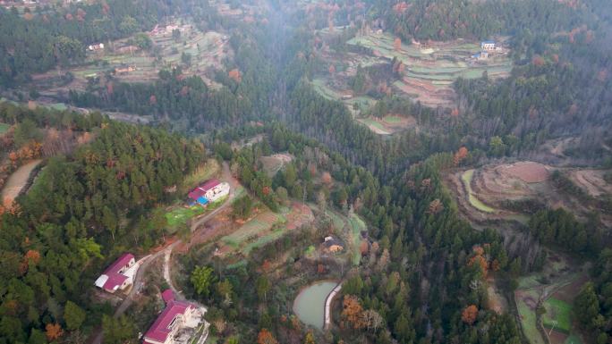 广元市苍溪县新农村建设现状