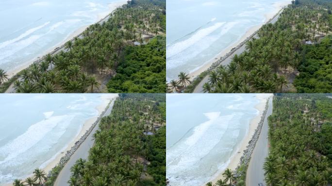 海边椰林椰树汽车行驶在最美公路大海