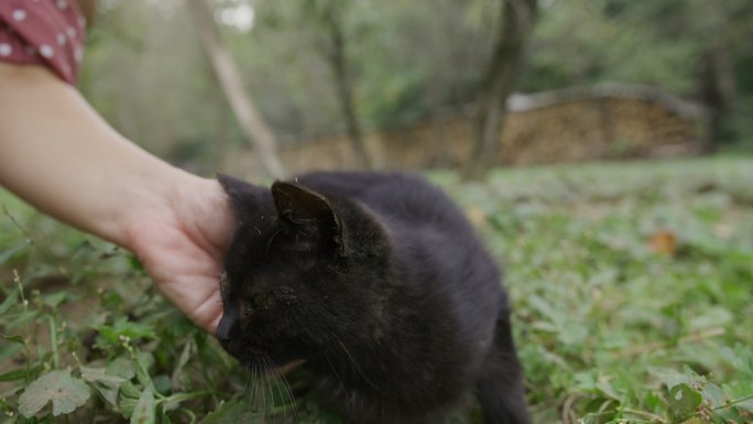 女人用手抚摸一只眼睛的黑猫