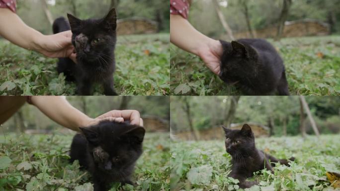 女人用手抚摸一只眼睛的黑猫