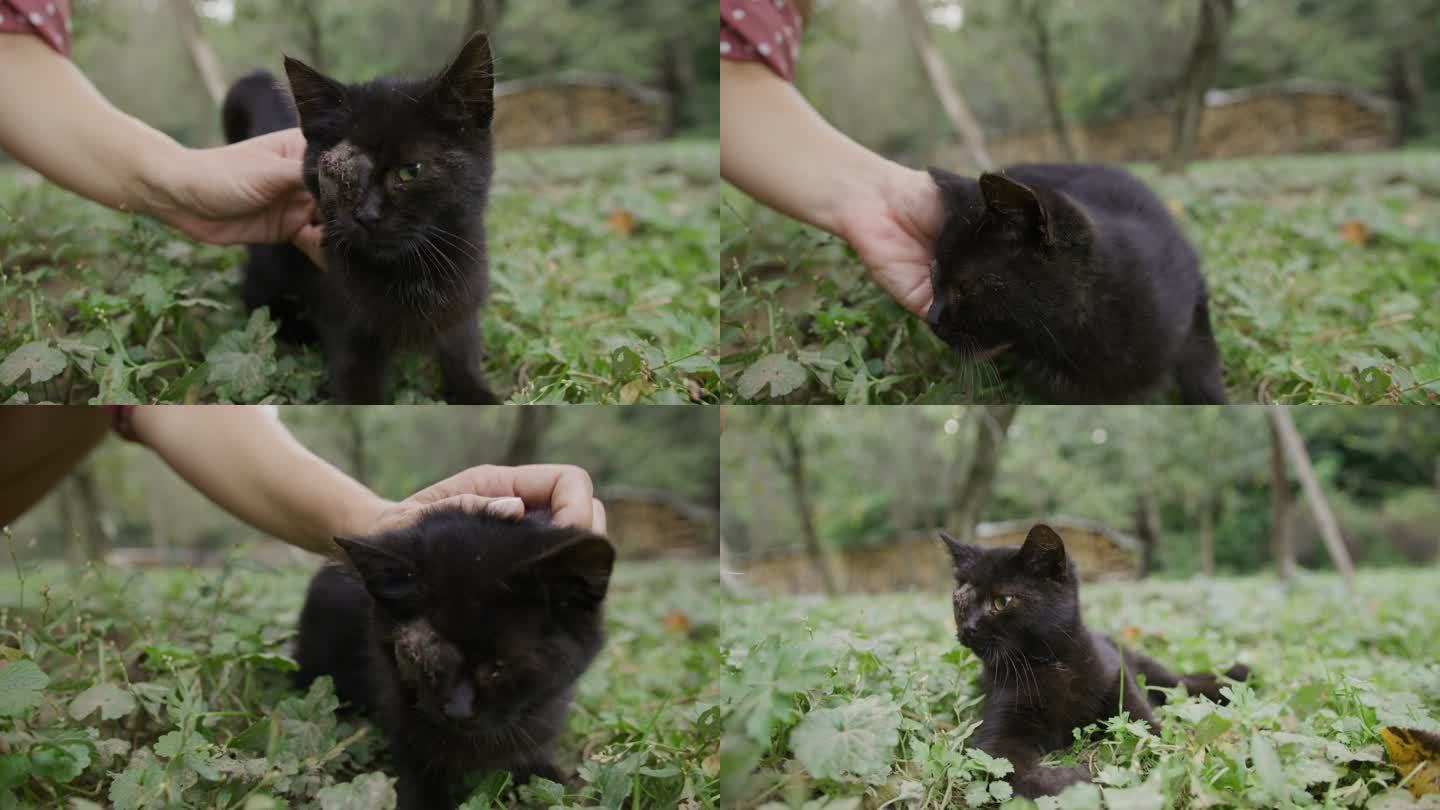 女人用手抚摸一只眼睛的黑猫