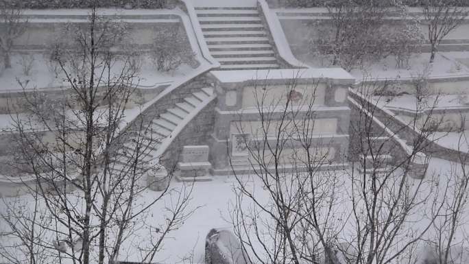 雪花飞雪飘雪下雪瑞雪兆丰年雪迎春到