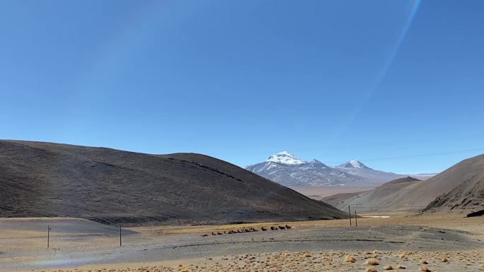 新疆绝美风景日照金山湖泊山川河流雪山路上