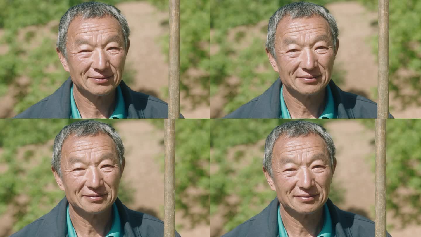 田间农民的肖像老人微笑