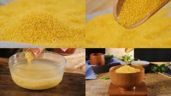 小黄米素材