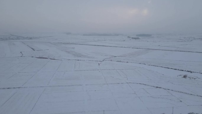 稻乡五常雪地稻田雪景寒地黑土村庄