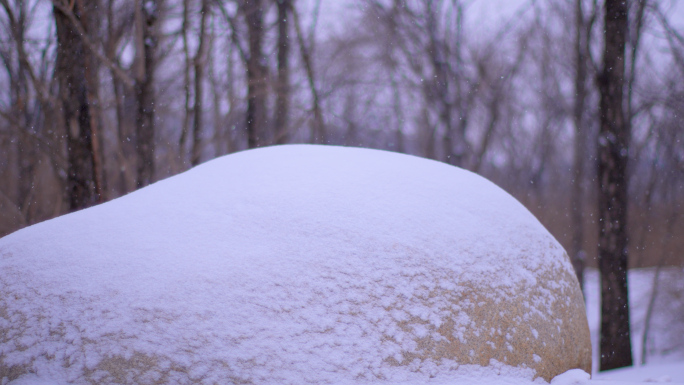 冬季雪景空境公园树林