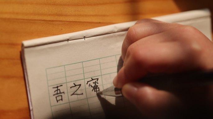 吾之蜜糖汝之砒霜小孩写字成语学习汉字书写