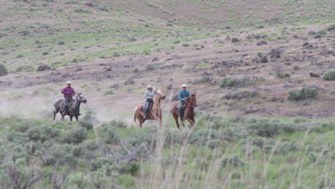 年轻的牧场主骑马跑下山，后面跟着一位资深牧场主和他的狗