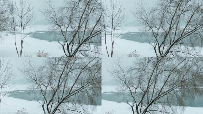 冰河飘雪北方冬季枯树