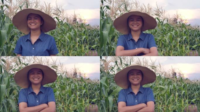 泰国日落时分，快乐而自豪的女农民在麦田里微笑