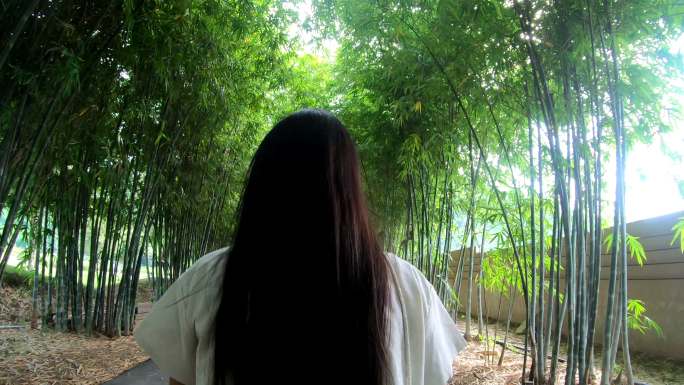 竹林漫步背影绿竹