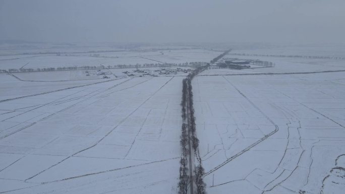 稻乡五常雪地稻田雪景寒地黑土