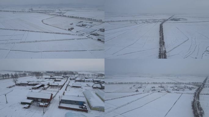 稻乡五常雪地稻田雪景寒地黑土