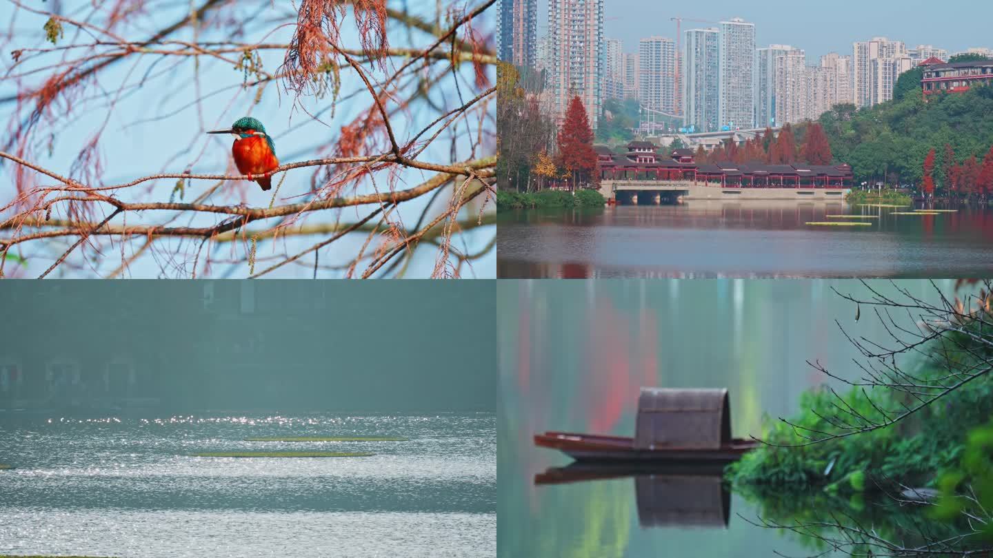 实拍重庆市九龙坡区彩云湖湿地公园