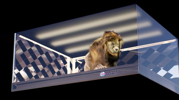 狮子裸眼3D折屏透视视频效果网红大屏