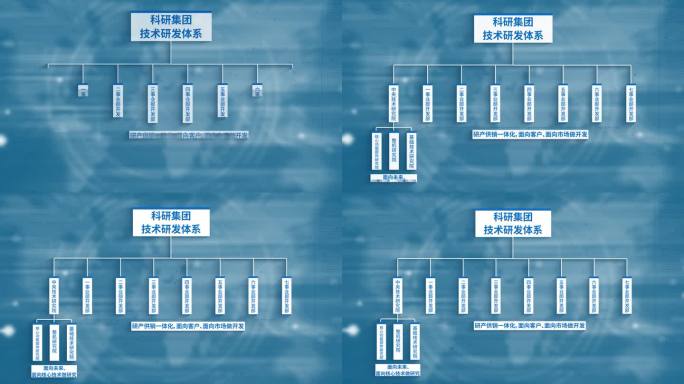 分支体系组织结构架构部门分支