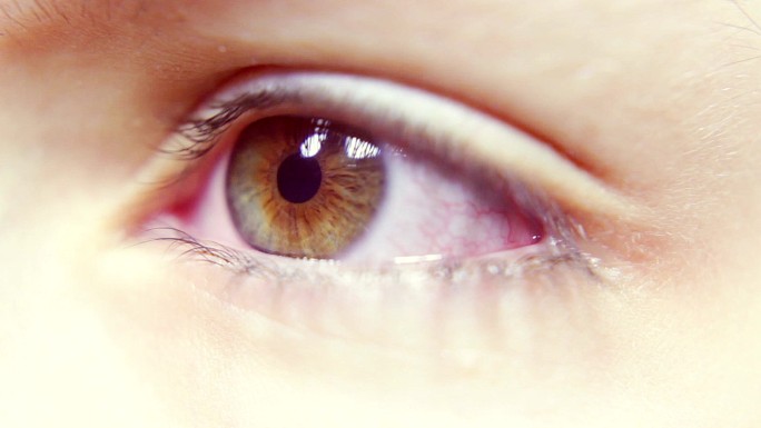 瞳孔眼感知光线晶状体