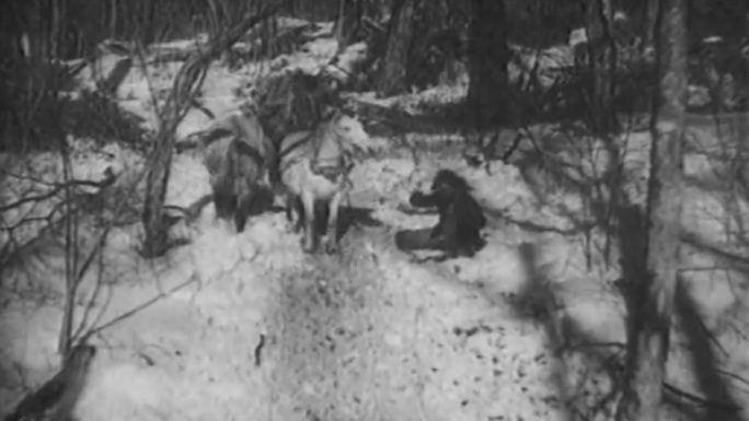 40年代的东北伐木影像
