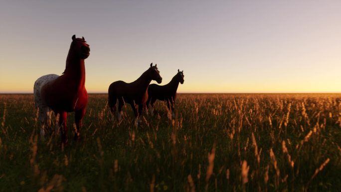马在农场转弯三维动画吃草草场草原