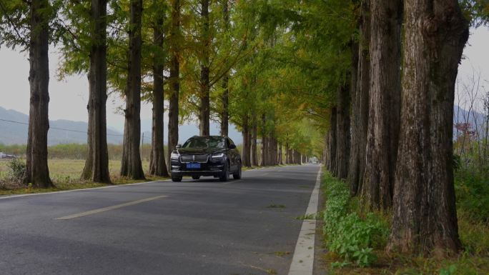 唯美乡村道路（二）【原创】