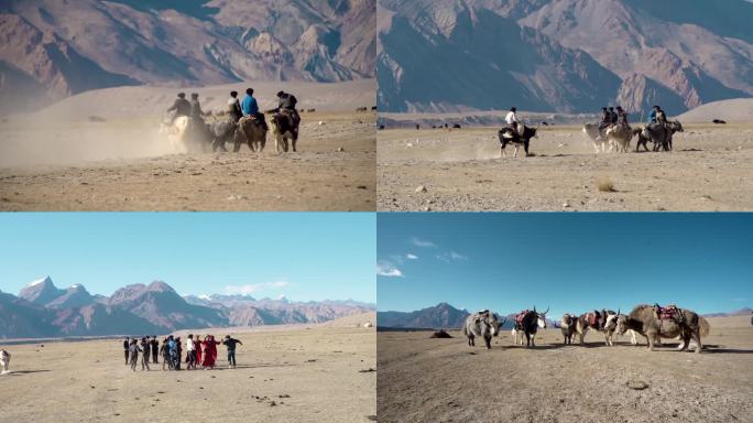 新疆少数民族塔吉克族刁羊比赛