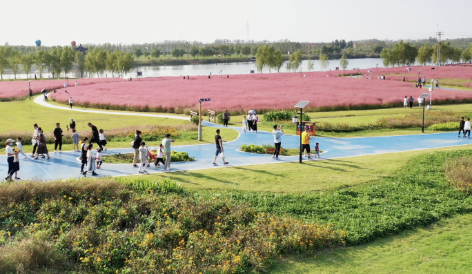 花海实拍集锦