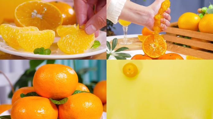 橘子合集