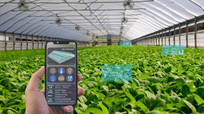 智慧农业绿色生态科技