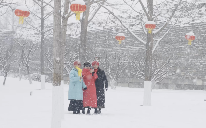 北京下雪游客赏雪