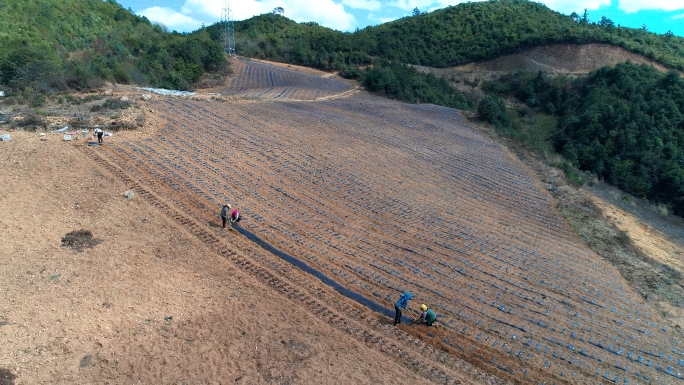 山村农田种植劳动场景航拍4K素材