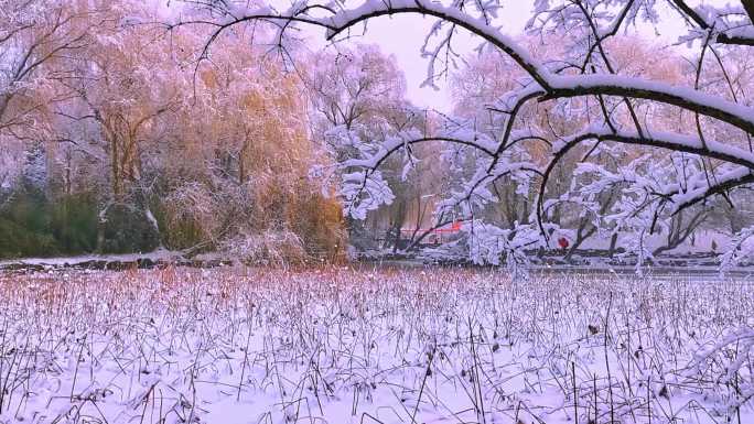 雪后黎明皇家园林风光