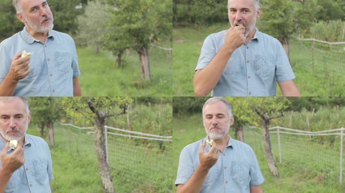 快乐成熟的男人在草地上散步，吃着自家种植的有机苹果