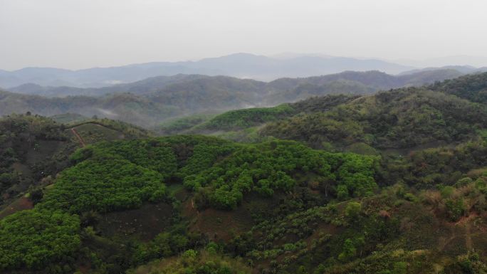 美丽的山谷农场泰国