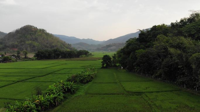 美丽的山谷农场泰国