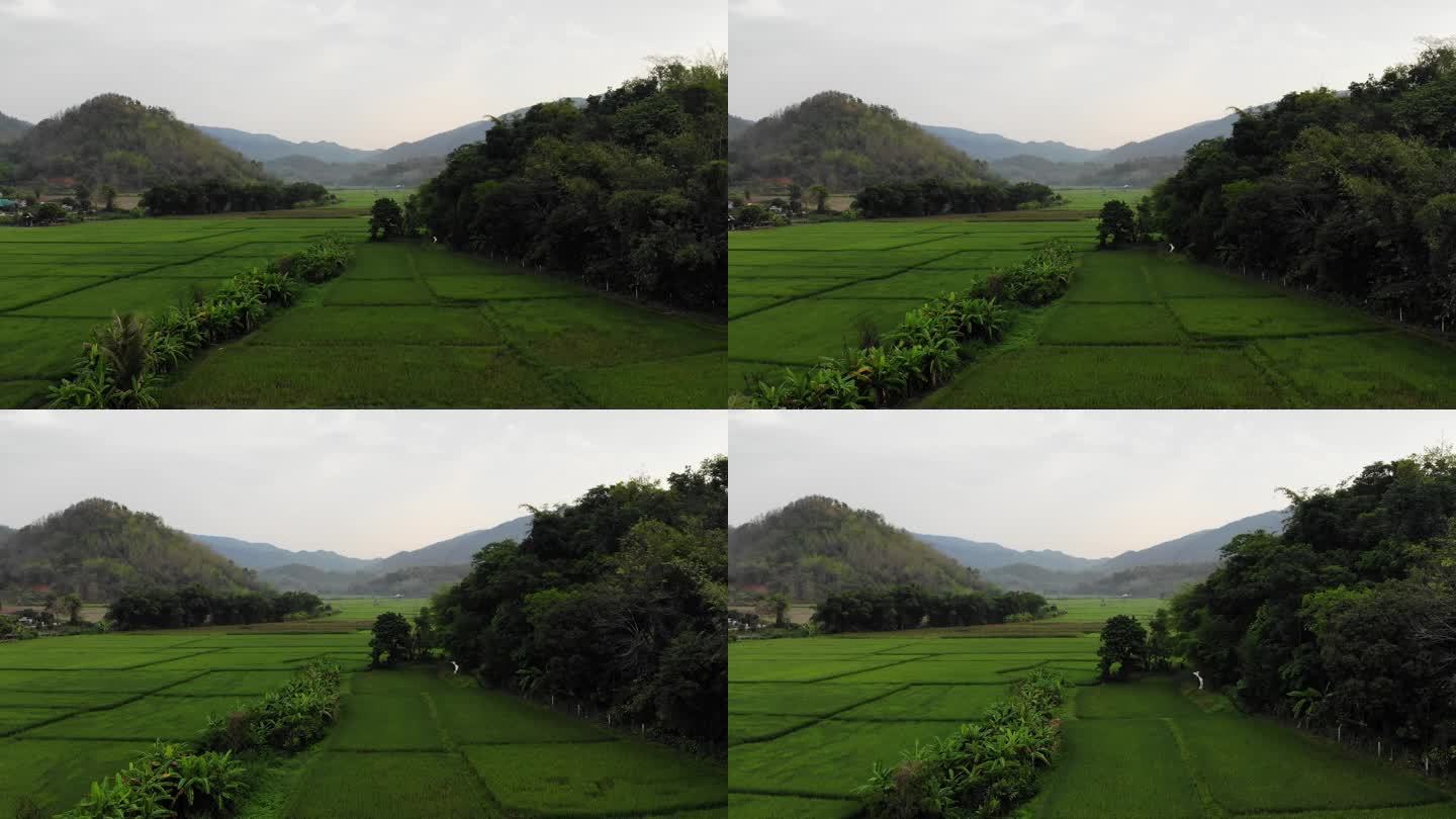 美丽的山谷农场泰国