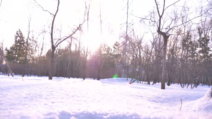 北方雪景空境大雪后素材公园雪景