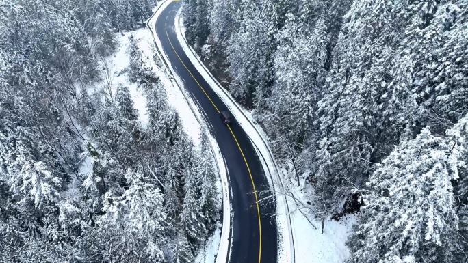 森林雪景公路