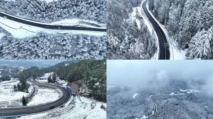 森林雪景公路