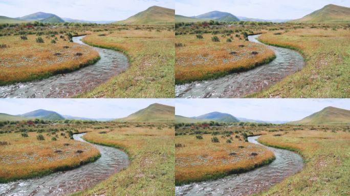 草原河流自然春天野花峡谷小溪4K