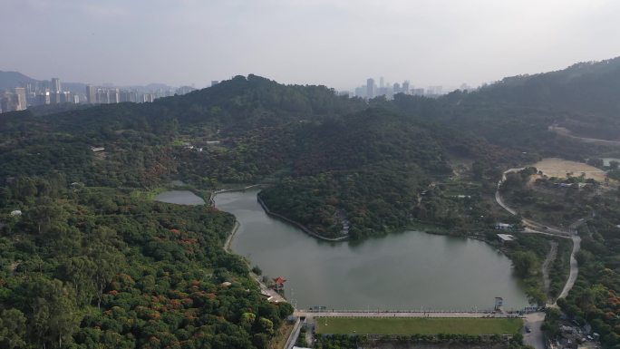 广州南沙大山乸森林公园