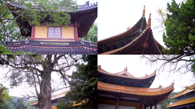 浙江普陀山法雨寺禅院建筑4K视频合集