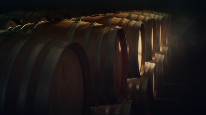 酒窖 橡木桶 葡萄酒 阳光 红酒生产
