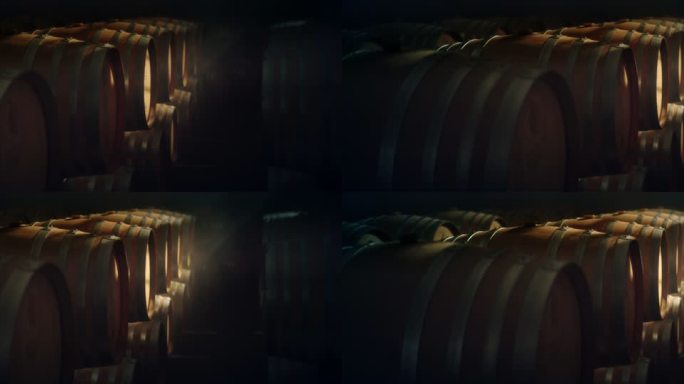 酒窖 橡木桶 葡萄酒 阳光 红酒生产