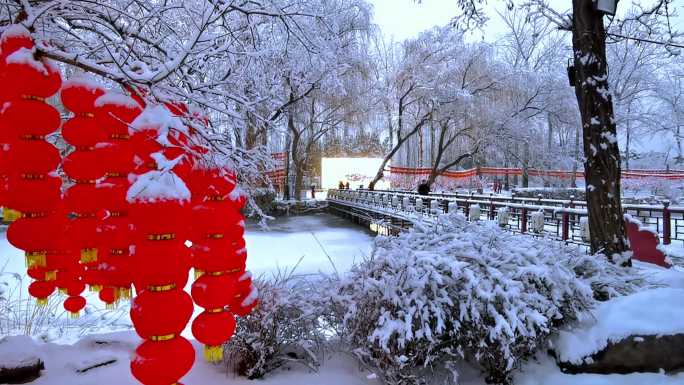 大红灯笼雪中挂