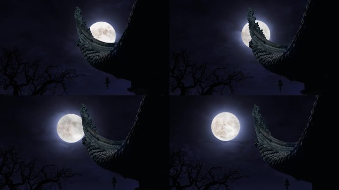 月圆之夜